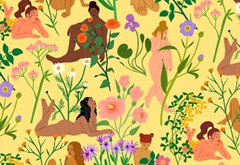 Women & Colour: the Illustrations of Bodil Jane 