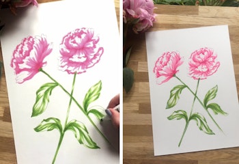 Make & Create: Floral Illustrations 