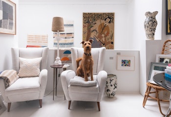 Design and a Dog at 8 Holland Street