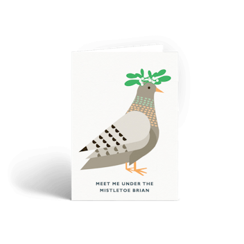 Mistletoe Pigeon