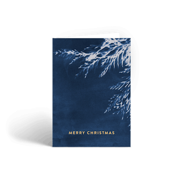 Cyanograph Merry Christmas