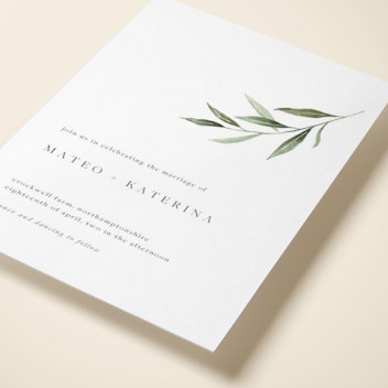 Olive Sprig