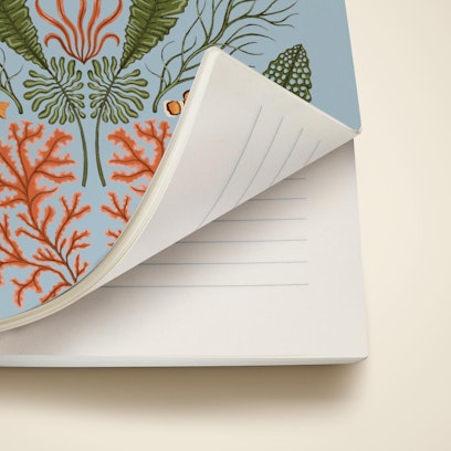 Softcover