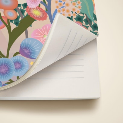 Softcover