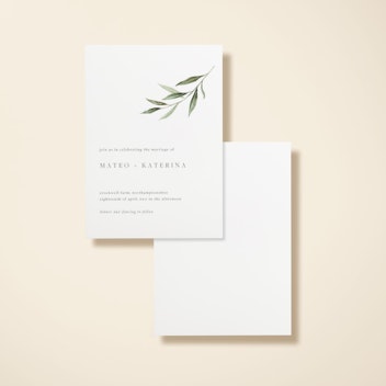 Olive Sprig