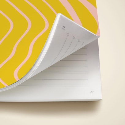 Softcover
