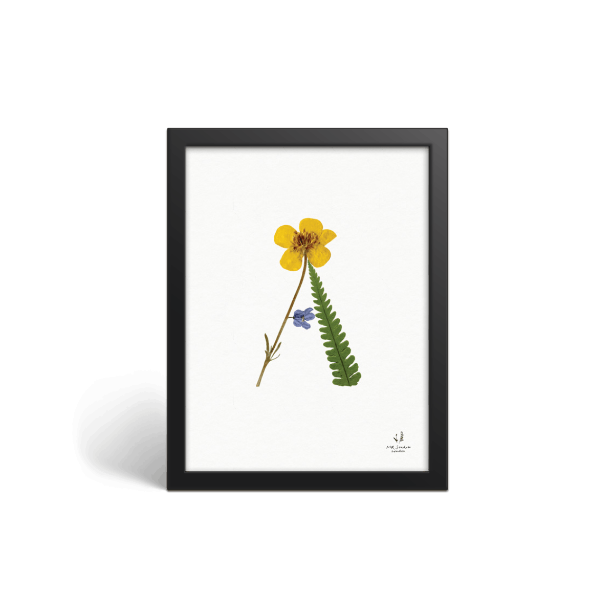 Letters in Bloom