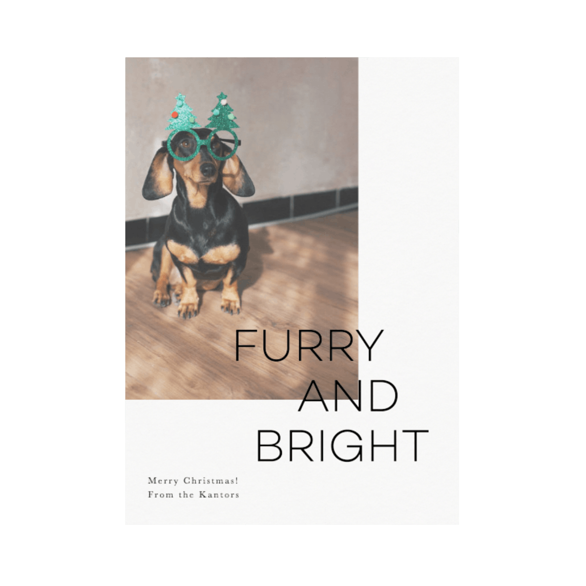 Furry and Bright