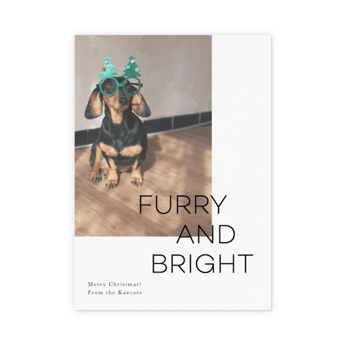 Furry and Bright