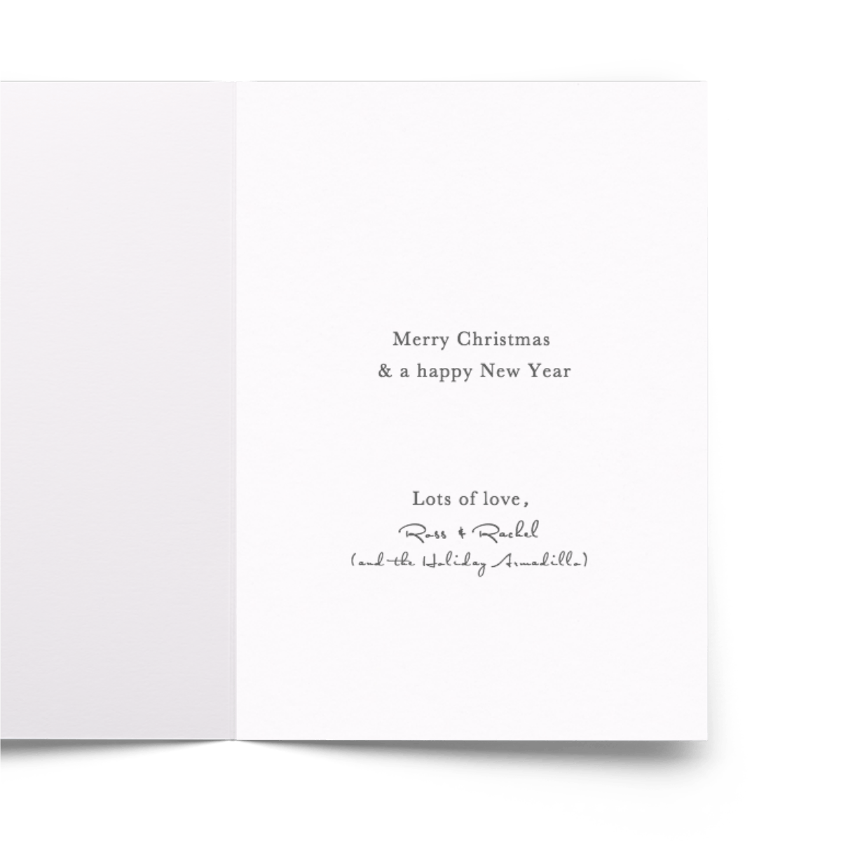 Christmas Armadillo Holiday Card Set Papier