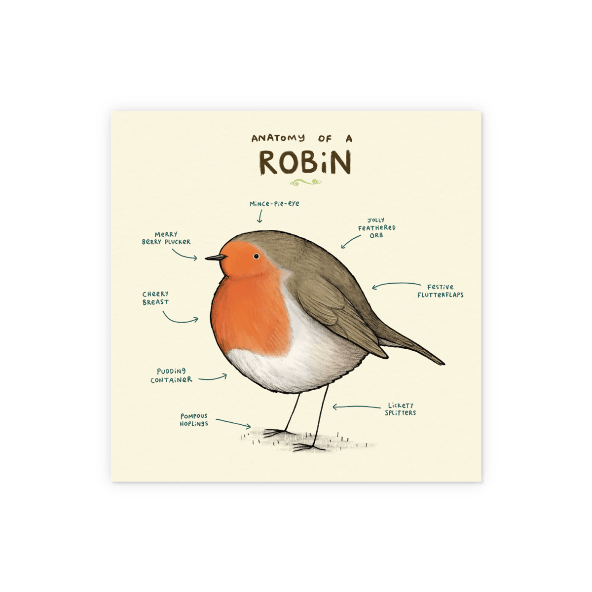 Anatomy of a Robin