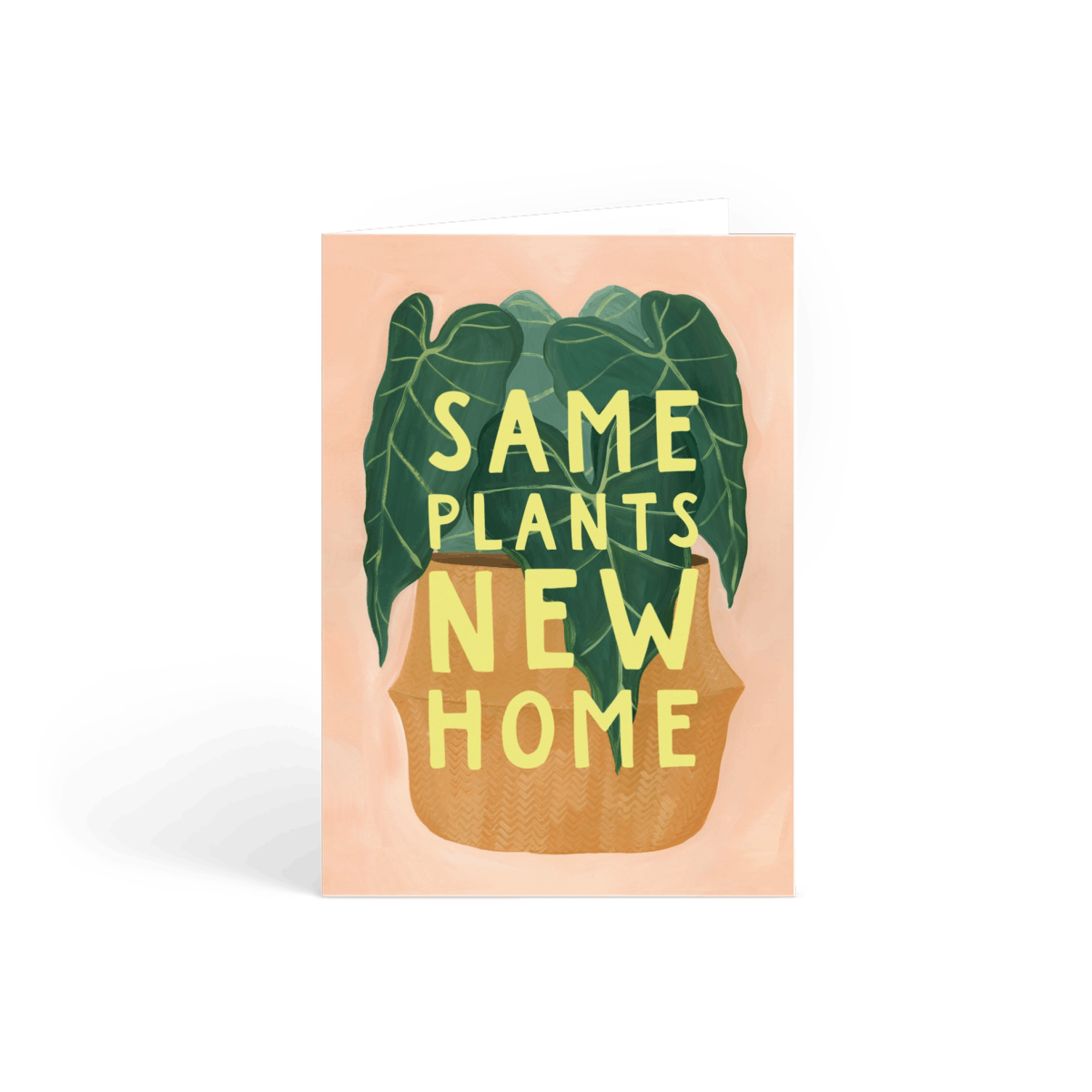 Same Plants