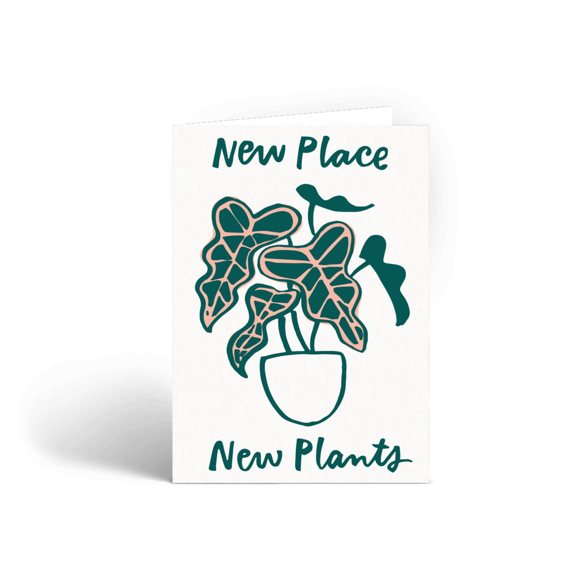 New Place, New Plants