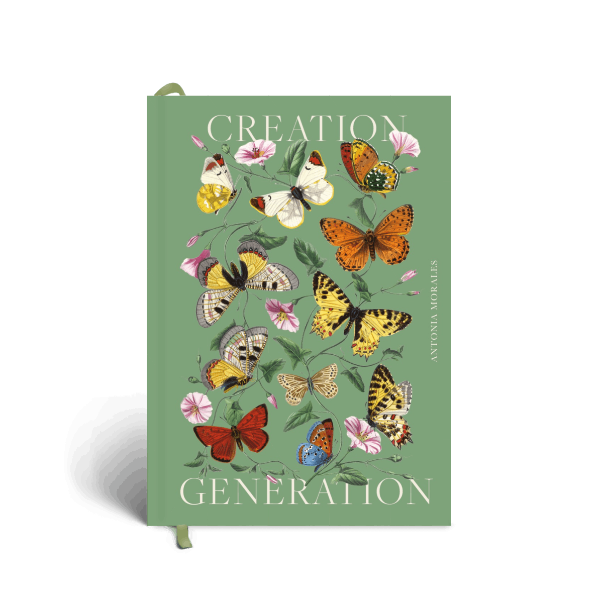 Creation Generation