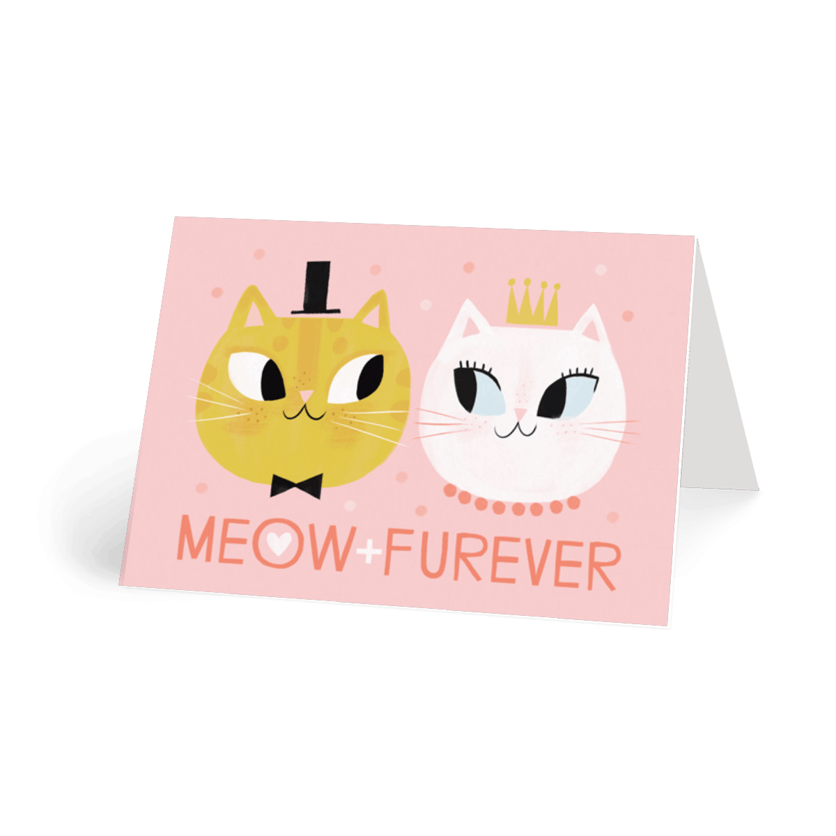 Meow + Furever
