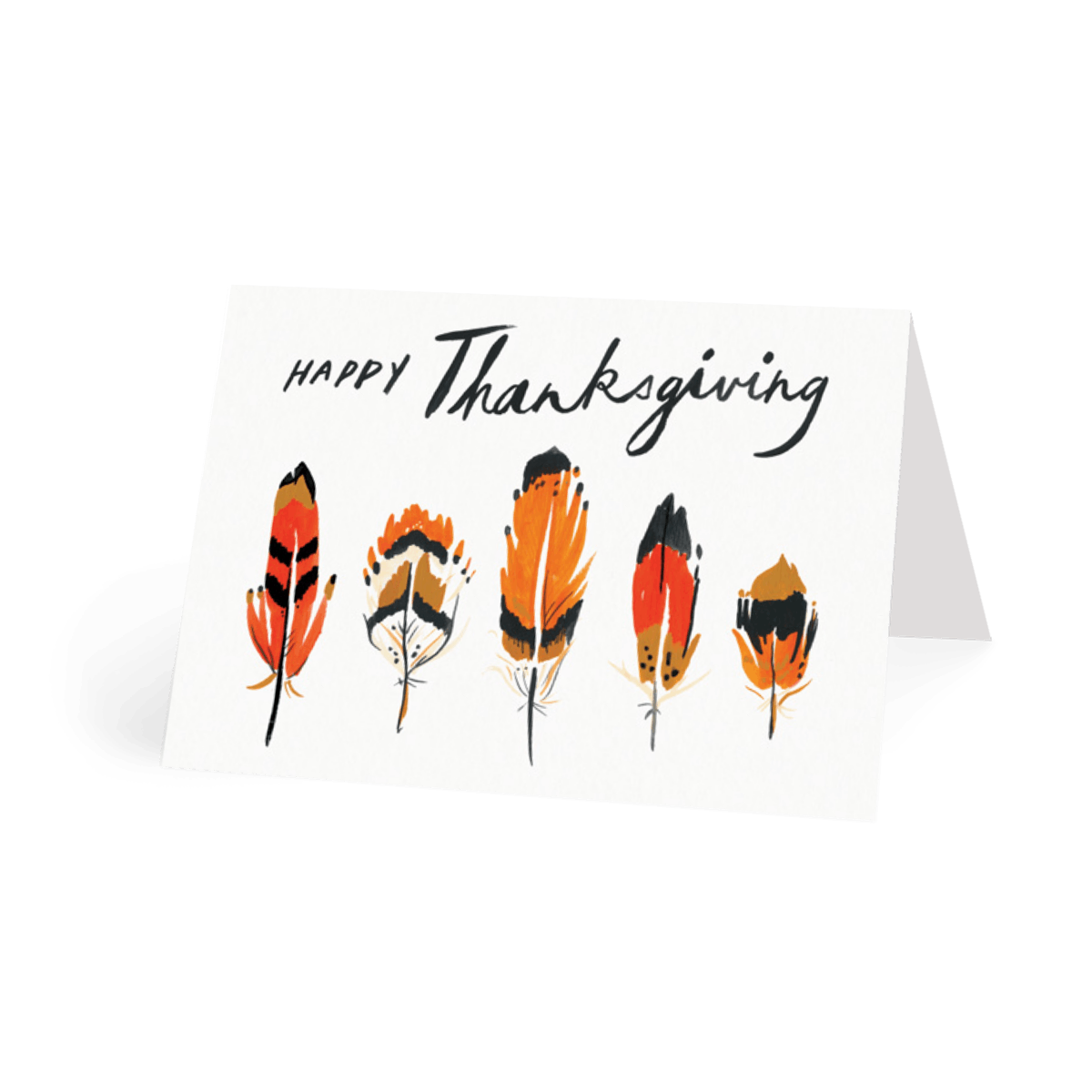 Thanksgiving Feathers