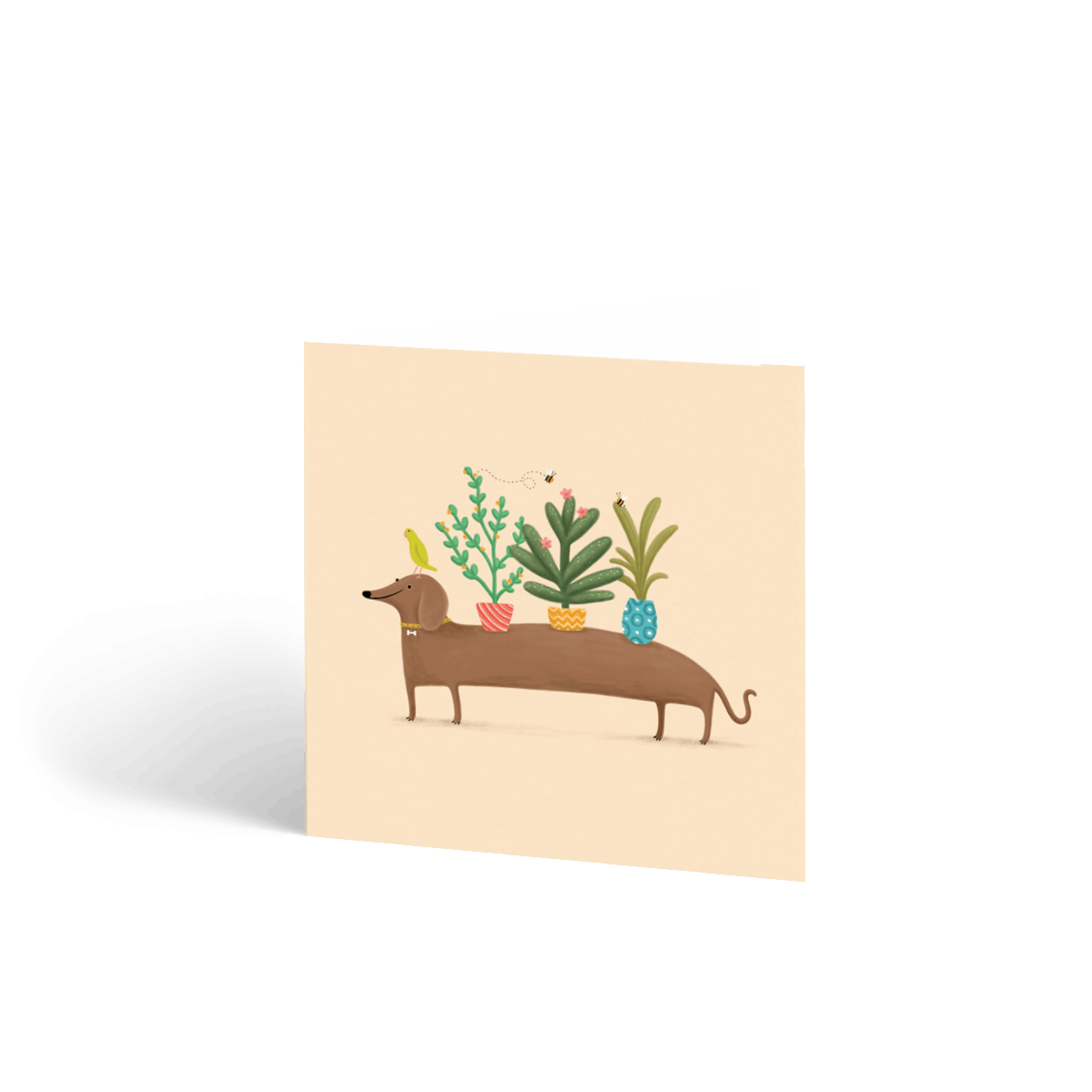 Dachshund & Plants