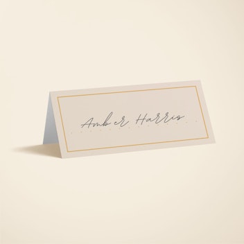 Handwritten Script