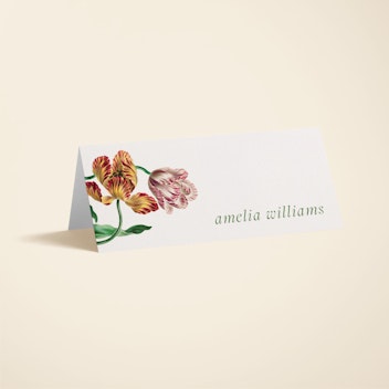Tualipia