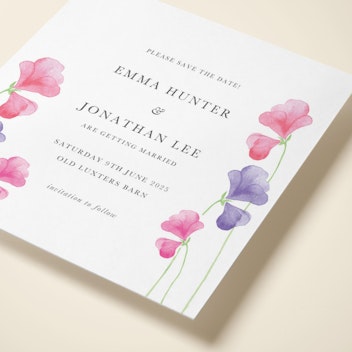 Pink Sweet Peas