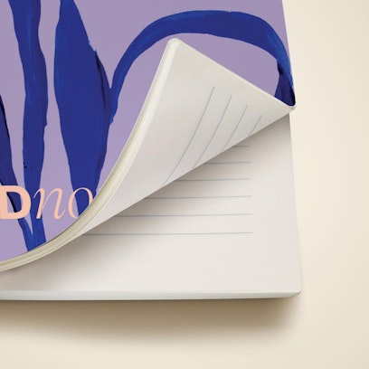 Softcover