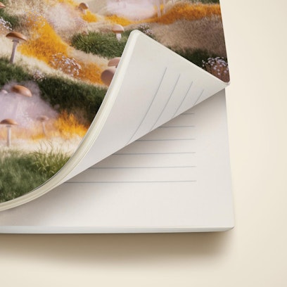 Softcover