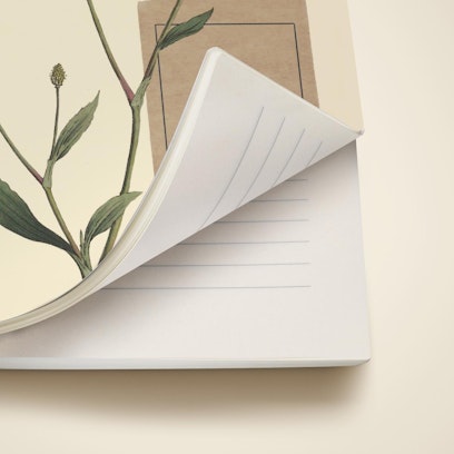 Softcover