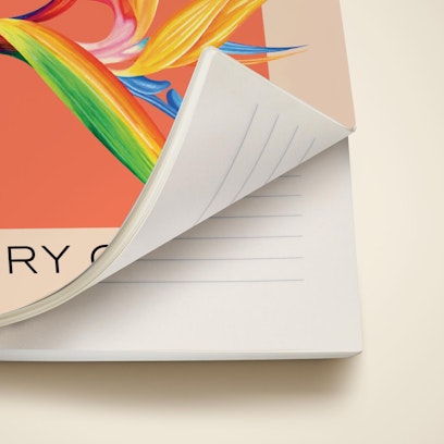 Softcover