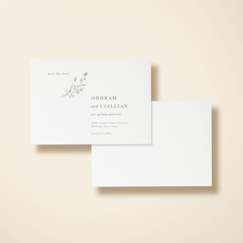 Modern Sprig