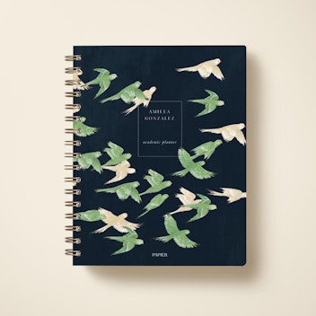 Parakeets of London