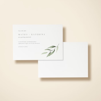 Olive Sprig