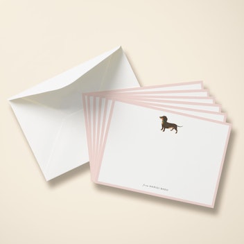 Dachshund